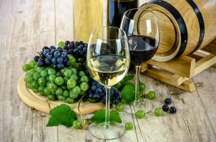 The Vino Club