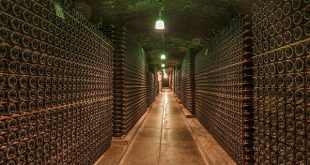 wine-cellar