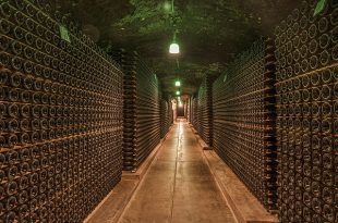 wine-cellar