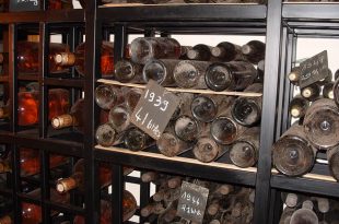 collecting and storing wine