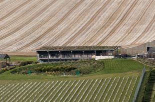 English Sparkling Wine