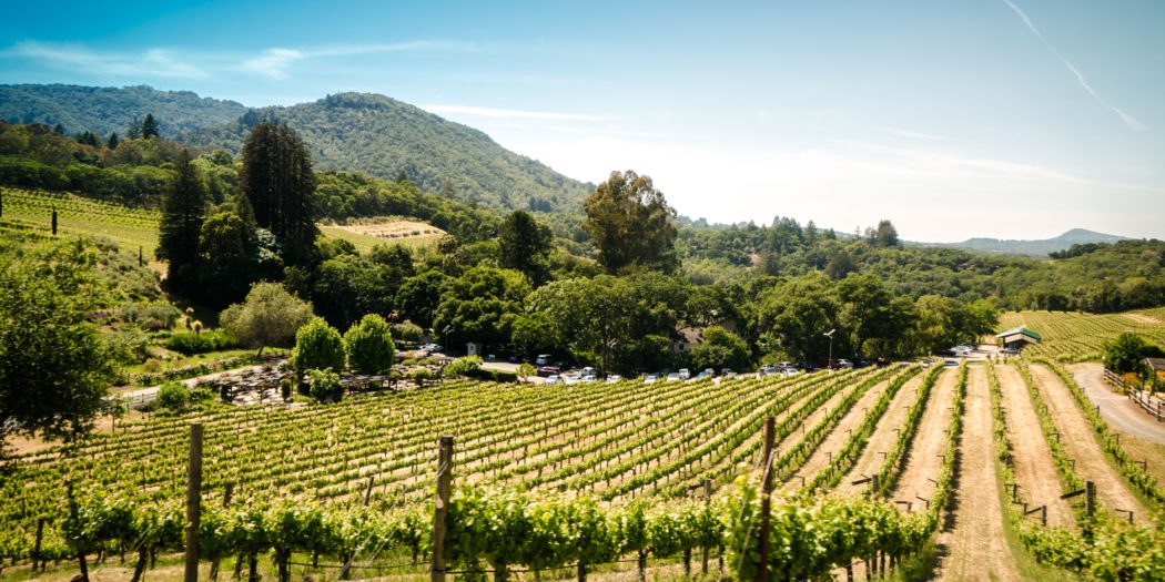 4 Of The Best Wine Destinations In Europe